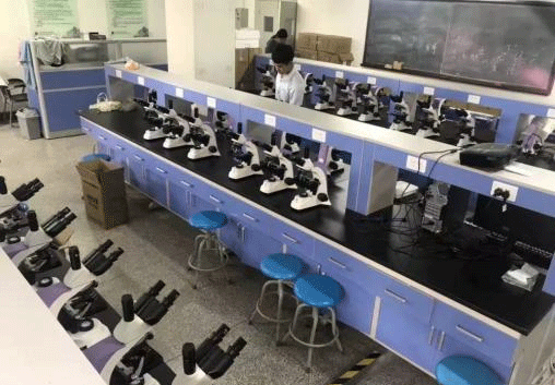 生物石榴视频黄下载.png