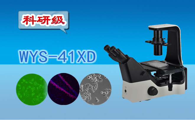石榴视频黄下载資訊：固體雜質的種類和含量樣品分析生物石榴视频黄下载