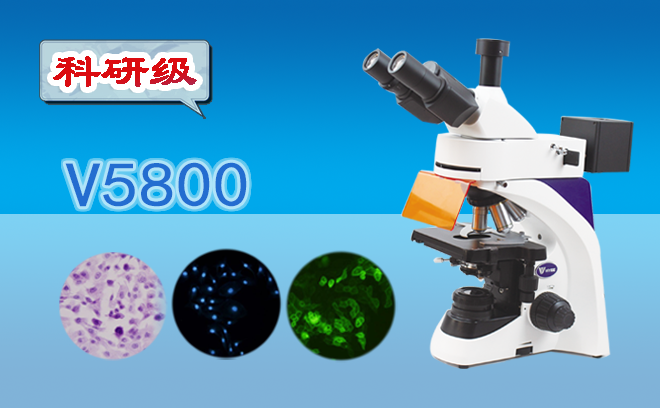 熒光生物石榴视频黄下载.png