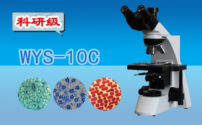 生物石榴视频黄下载.jpg