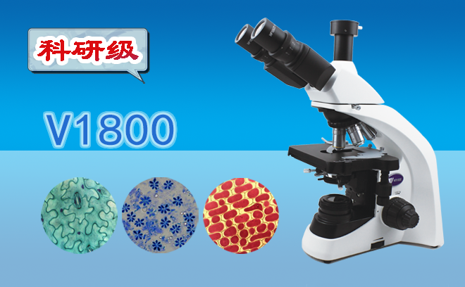 生物石榴视频黄下载.png