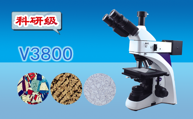 今日好用的石榴视频黄下载分享之體視石榴视频黄下载